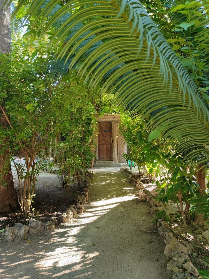 Your Zanzibar Place 帕杰 外观 照片