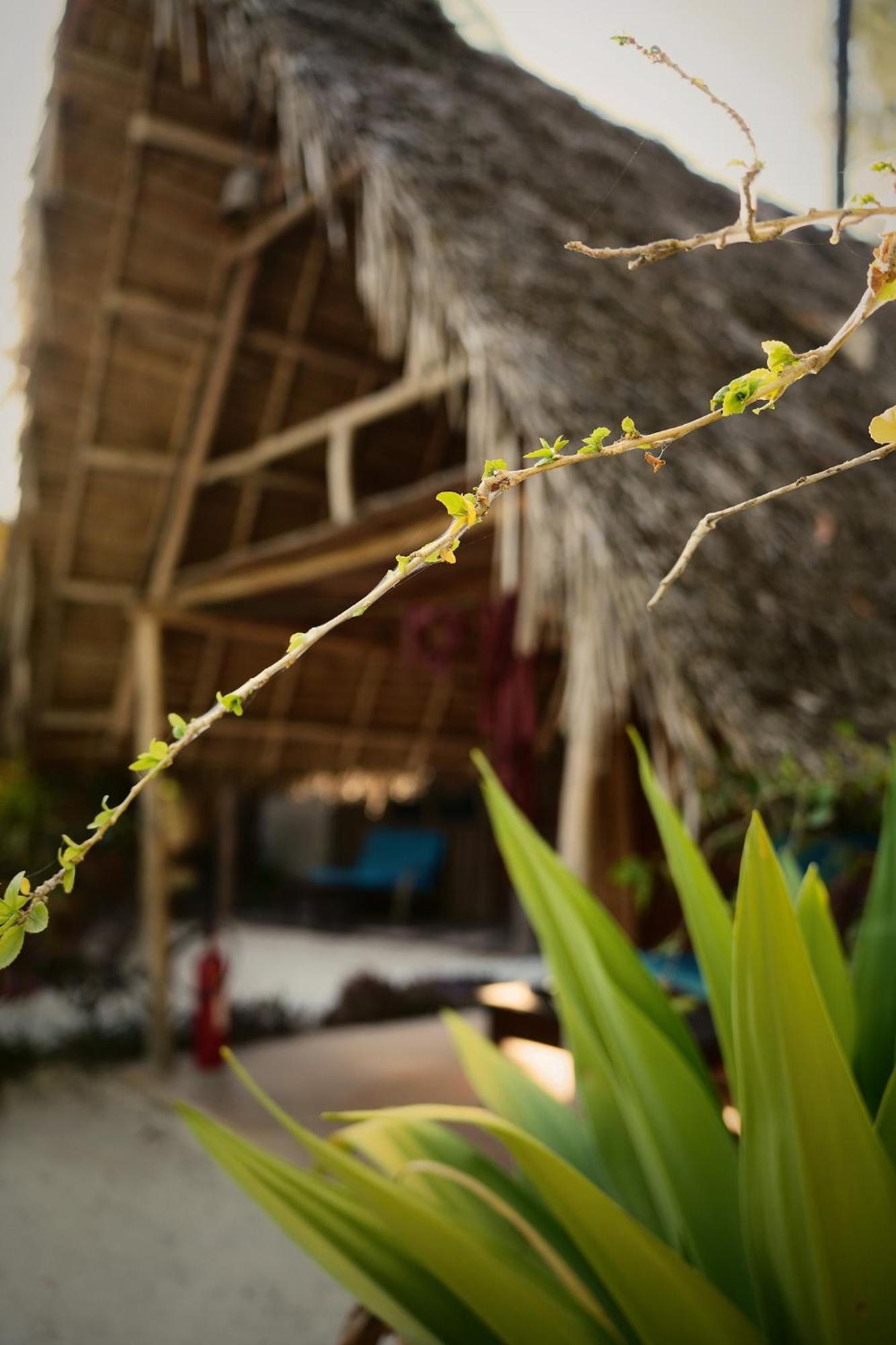 Your Zanzibar Place 帕杰 外观 照片